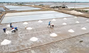 Sản phẩm du lịch muối Bạc Liêu - nhiều tiềm năng để khai thác