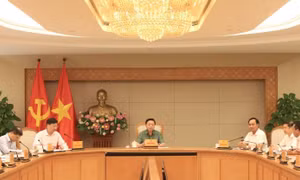 Phó Thủ tướng Trần Hồng Hà: Quy định chặt chẽ hoạt động nuôi, trồng, phát triển và thu hoạch cây dược liệu