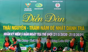 Định hướng phát triển du lịch, định vị thương hiệu 'Đệ Nhất danh Trà'