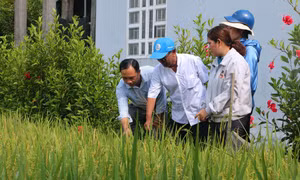 Người có uy tín - chỗ dựa tin cậy của đồng bào dân tộc thiểu số Sóc Trăng