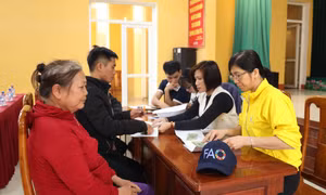 Hỗ trợ nông dân Yên Bái cải tạo đất sản xuất nông nghiệp sau bão Yagi