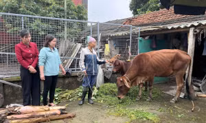 Giảm nghèo bền vững nhờ hỗ trợ đa chiều