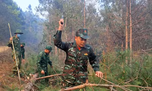 Tăng cường nhân lực để ngăn cháy rừng lan rộng tại ven sông Nho Quế, Hà Giang