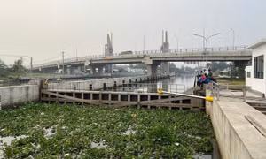 Kiên Giang kiểm soát chặt chẽ hạn, mặn cao điểm mùa khô