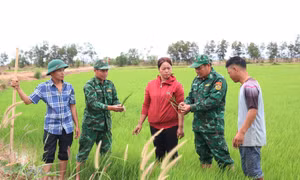 Bộ đội biên phòng Ea H’leo tiếp sức cho người dân vùng biên