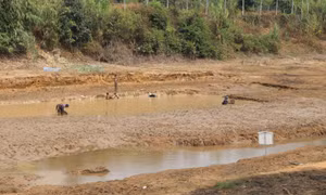 Công trình thủy lợi Tà Cang cạn đáy, người trồng cà phê có nguy cơ mất mùa