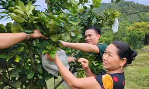 Thanh Hóa huy động nguồn lực "xóa trắng" xã nông thôn mới