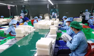 Tây Ninh nâng tầm đặc sản OCOP, mở ra cơ hội xuất khẩu