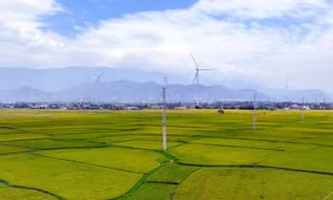 Xanh hóa “vùng đất khát” Ninh Thuận