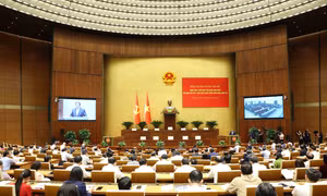Khai mạc Hội nghị toàn quốc quán triệt, triển khai thực hiện Nghị quyết Hội nghị lần thứ 11 Ban Chấp hành Trung ương Đảng khóa XIII