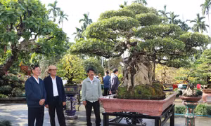 Phát triển kinh tế từ nghề sinh vật cảnh ở Quảng Ngãi