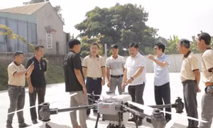 Vượt qua khó khăn từ các chính sách hỗ trợ hợp tác xã ở Bà Rịa-Vũng Tàu