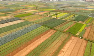 Nghệ An xây dựng những điểm nhấn phát triển nông thôn mới