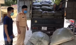 Cao Bằng phát hiện hơn 1,3 tấn thuốc lá nguyên liệu không rõ nguồn gốc