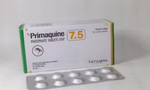 Hiệu quả của sử dụng thuốc chống sốt rét primaquine liều cao