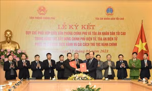 Phối hợp xây dựng Chính phủ điện tử, Tòa án điện tử và cải cách thủ tục hành chính