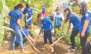 Bạc Liêu thu hút trí thức trẻ tình nguyện về các xã tham gia phát triển nông thôn