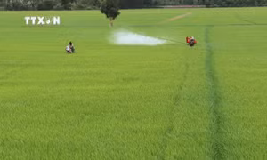 Đồng Tháp: Canh tác lúa chất lượng cao, phát thải thấp giảm chi phí sản xuất đến 30%