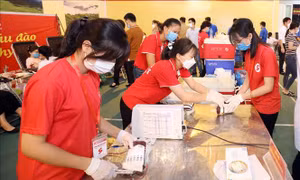 Lực lượng y tế thu nhận 361 đơn vị máu hiến tình nguyện tại huyện Cao Lộc ngày 19/9. Ảnh: Anh Tuấn – TTXVN