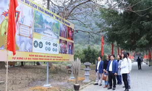 Tour du lịch trải nghiệm thu hút đông đảo du khách tham gia. Ảnh: Đức Phương - TTXVN