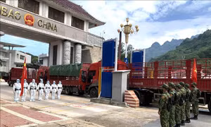Tuần tra, kiểm soát song phương trên tuyến biên giới Việt-Trung