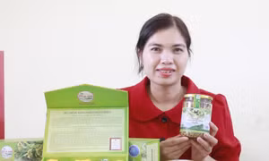 Chị Nguyễn Thị Kim Dung với các sản phẩm từ sâm Nam của Hợp tác xã. Ảnh: Đồng Thúy-TTXVN