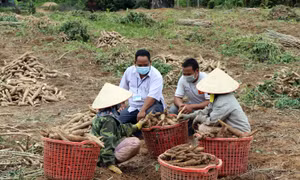 Đảng viên nắm tình hình sản xuất tại thôn, làng. Nguồn: baokontum.com.vn