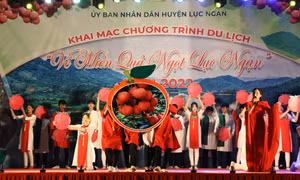Khai mạc Tuần lễ du lịch "Về miền quả ngọt" năm 2022