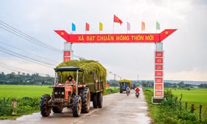 Kế hoạch tổ chức thực hiện Phong trào thi đua “Cả nước chung sức xây dựng nông thôn mới” giai đoạn 2021 - 2025