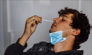 Virus SARS-CoV-2 và ảnh hưởng đến khả năng sinh sản nam giới