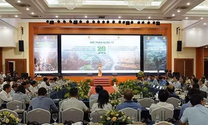 Quang cảnh hội thảo. Ảnh: Đức Thọ - TTXVN