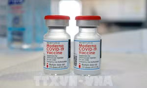 Vaccine ngừa COVID-19 của Moderna. Ảnh: AFP/TTXVN