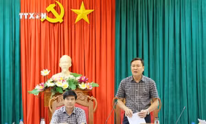 Đắk Lắk tập trung các giải pháp phát triển cà phê bền vững 
