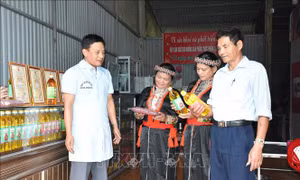 Dầu lạc đỏ Thái Sơn, lạc ri vỏ đỏ Thái Sơn của Hợp tác xã Thái Sơn (Yên Bái) được các khách hàng ưa chuộng. Ảnh: Việt Dũng – TTXVN