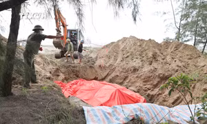 Nghệ An: Phát hiện xác cá voi nặng khoảng hơn 10 tấn trôi dạt vào bờ