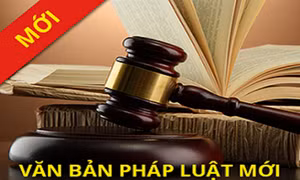 32 văn bản quy phạm pháp luật cần sửa đổi, bổ sung, ban hành mới