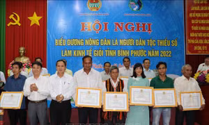 Bình Phước nhân rộng các điển hình nông dân là người dân tộc thiểu số sản xuất, kinh doanh giỏi