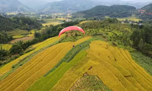 Bay dù lượn ngắm ruộng bậc thang ở Bình Liêu. Nguồn: baoquangninh.com.vn