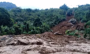 Quảng Nam: Quả đồi bất ngờ đổ sập xuống đường sau mưa lớn