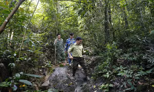 Tuyên Quang: 36 xã có nguy cơ cháy rừng ở cấp nguy hiểm