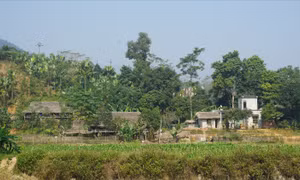 Lào Cai quan tâm tạo việc làm ở vùng “lõi” nghèo