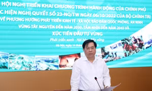 Chính phủ ban hành Chương trình hành động về phát triển kinh tế - xã hội vùng Tây Nguyên