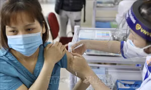 Đã có 522 người tiêm vaccine phòng COVID-19; ghi nhận một số phản ứng thông thường sau tiêm ​