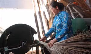 Đến với làng nghề bó chổi cọng dừa Mỹ An