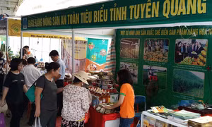 Tuyên Quang dừng tổ chức Hội chợ Thương mại - Du lịch năm 2021