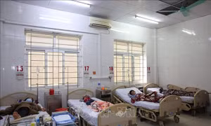 Hà Tĩnh: Ăn thịt bê thui, 8 người bị ngộ độc