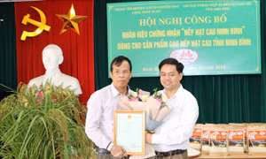 Trao Giấy chứng nhận đăng ký nhãn hiệu "Nếp hạt cau Ninh Bình"