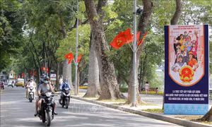 Pano, cờ Tổ quốc rực rỡ trên phố Lê Thái Tổ, quận Hoàn Kiếm . Ảnh: Hoàng Hiếu - TTXVN