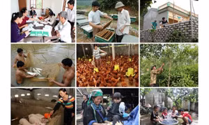 Chỉ thị của Ban Bí thư về tăng cường sự lãnh đạo của Đảng đối với công tác giảm nghèo bền vững đến năm 2030