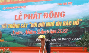 Chủ tịch nước Nguyễn Xuân Phúc: Hãy đóng góp cụ thể, thiết thực thực hiện Chương trình trồng một tỷ cây xanh